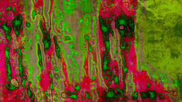 digital ping pong - a crossover - gustavo espinosa - gusespinosa.co.uk and m.giltjes/bobok