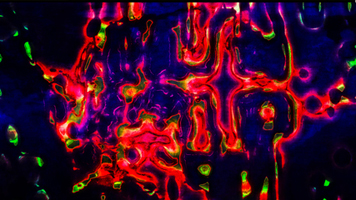 digital ping pong - a crossover - gustavo espinosa - gusespinosa.co.uk and m.giltjes/bobok