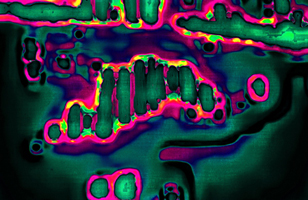 digital ping pong - a crossover - gustavo espinosa - gusespinosa.co.uk and m.giltjes/bobok