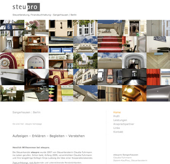 steupro.de launched